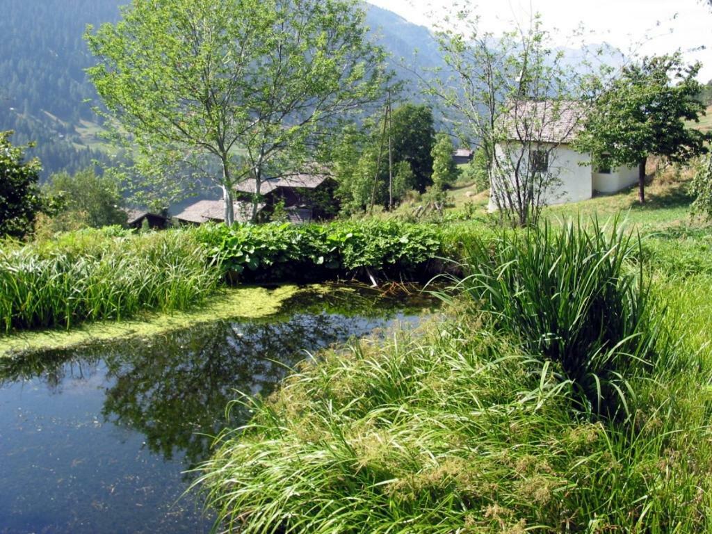 Haus Diezig Goms Exteriör bild